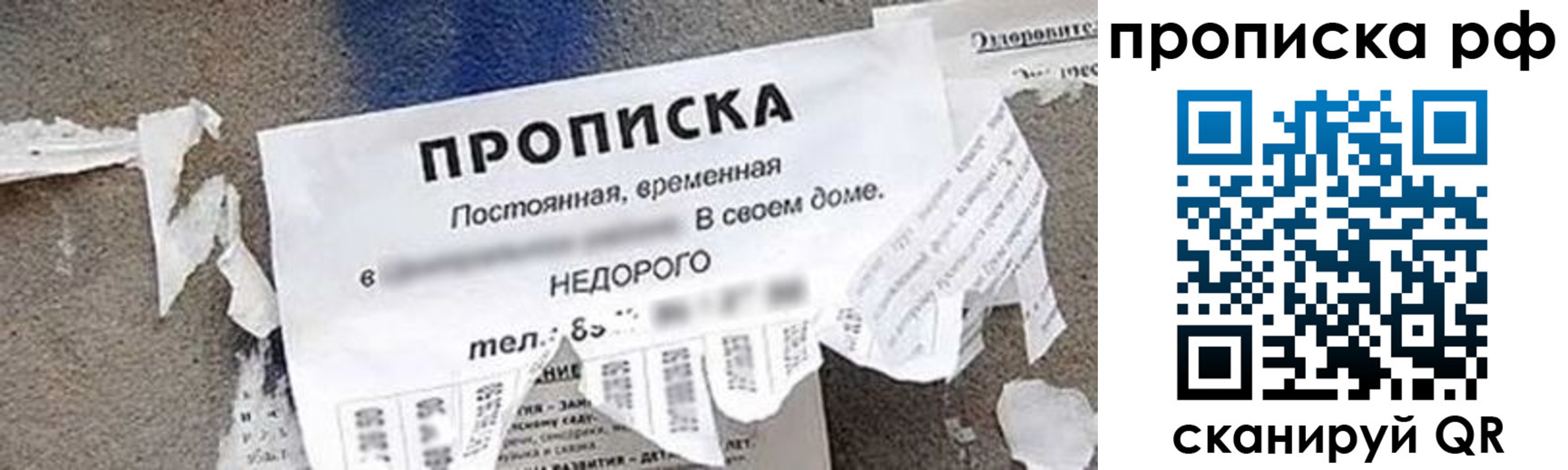 где прописаться в Североморске